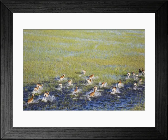 Framed Print : Picture No. 12009416 Framed Print : Picture No. 12009416