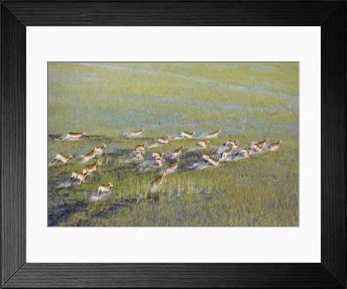 Framed Print : Picture No. 12009418 Framed Print : Picture No. 12009418