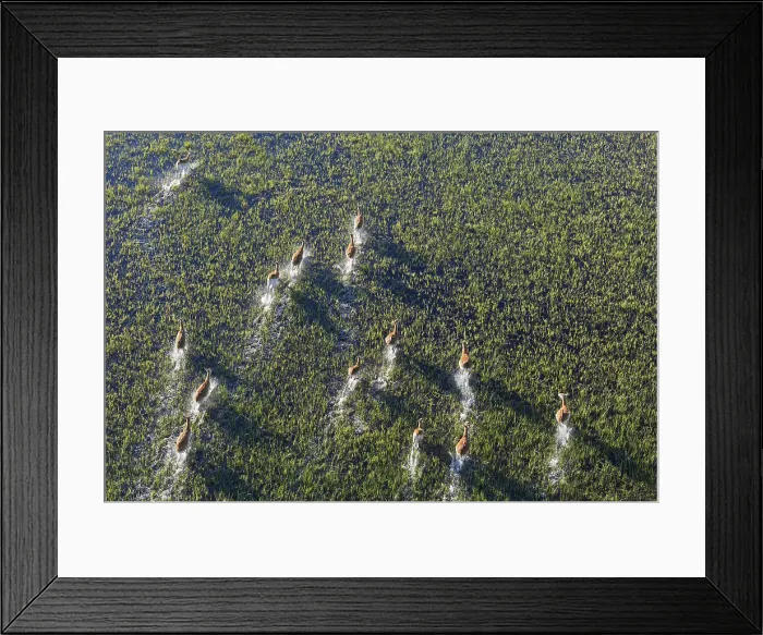 Framed Print : Picture No. 12009421 Framed Print : Picture No. 12009421