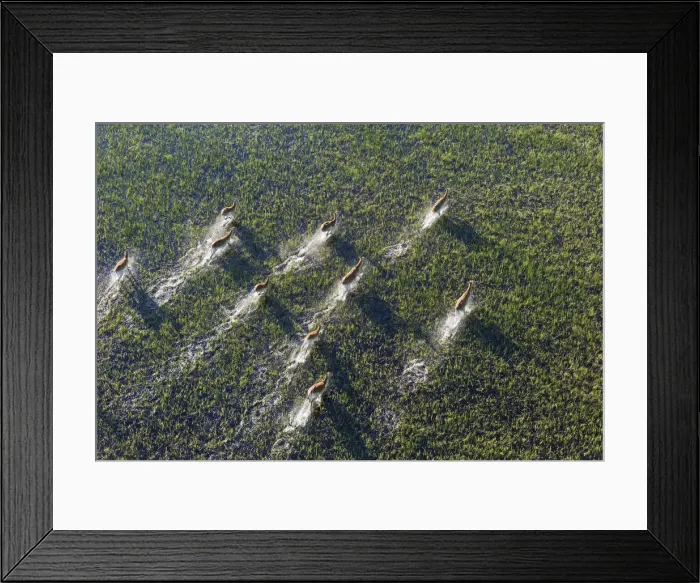 Framed Print : Picture No. 12009422 Framed Print : Picture No. 12009422