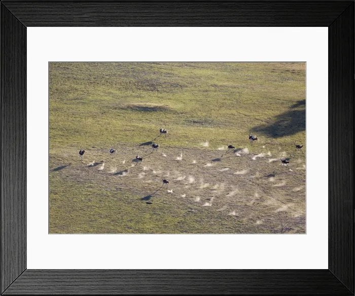Framed Print : Picture No. 12009423 Framed Print : Picture No. 12009423