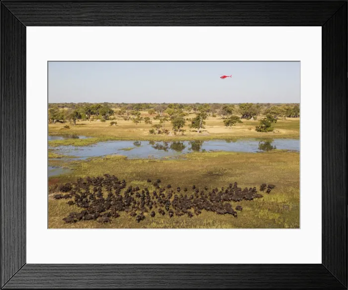 Framed Print : Picture No. 12009428 Framed Print : Picture No. 12009428