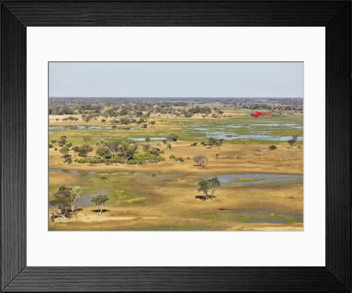 Framed Print : Picture No. 12009429 Framed Print : Picture No. 12009429