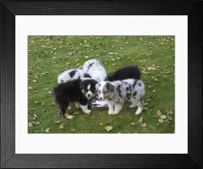 Framed Print : Picture No. 12009285 Framed Print : Picture No. 12009285
