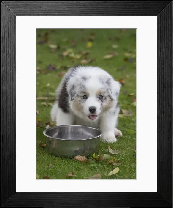 Framed Print : Picture No. 12009287 Framed Print : Picture No. 12009287