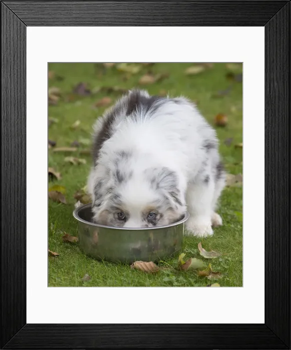 Framed Print : Picture No. 12009288 Framed Print : Picture No. 12009288