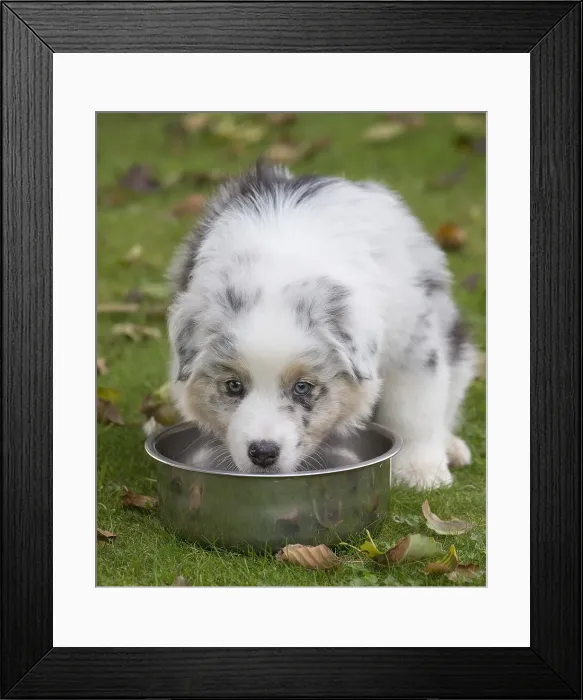 Framed Print : Picture No. 12009289 Framed Print : Picture No. 12009289