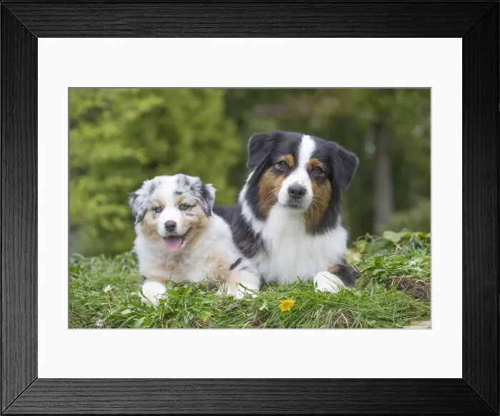 Framed Print : Picture No. 12009292 Framed Print : Picture No. 12009292