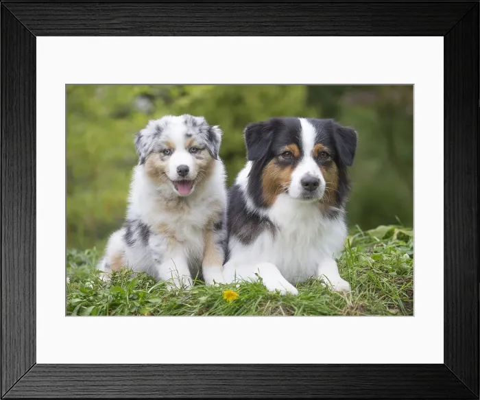 Framed Print : Picture No. 12009293 Framed Print : Picture No. 12009293