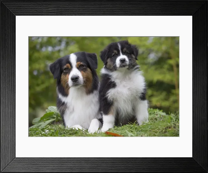 Framed Print : Picture No. 12009294 Framed Print : Picture No. 12009294