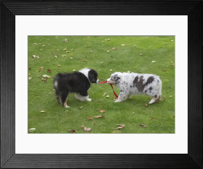 Framed Print : Picture No. 12009298 Framed Print : Picture No. 12009298