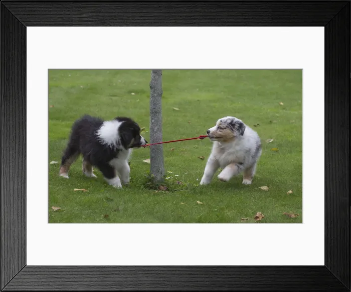 Framed Print : Picture No. 12009300 Framed Print : Picture No. 12009300
