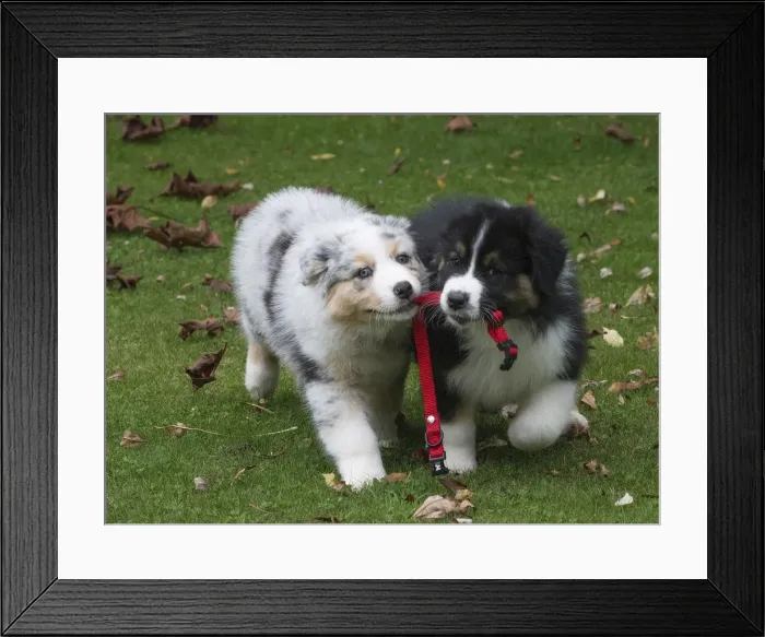 Framed Print : Picture No. 12009302 Framed Print : Picture No. 12009302