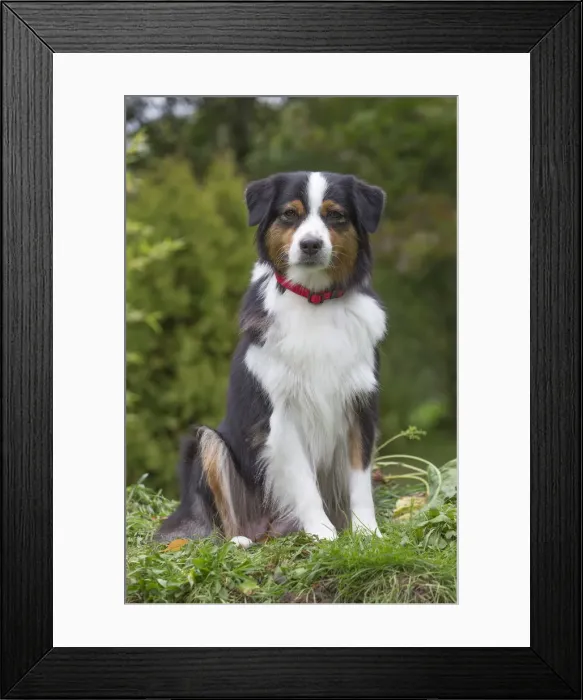 Framed Print : Picture No. 12009305 Framed Print : Picture No. 12009305