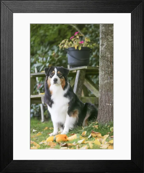 Framed Print : Picture No. 12009306 Framed Print : Picture No. 12009306