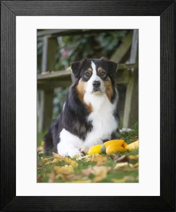 Framed Print : Picture No. 12009308 Framed Print : Picture No. 12009308