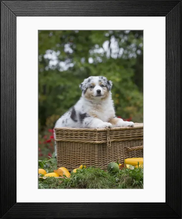Framed Print : Picture No. 12009309 Framed Print : Picture No. 12009309