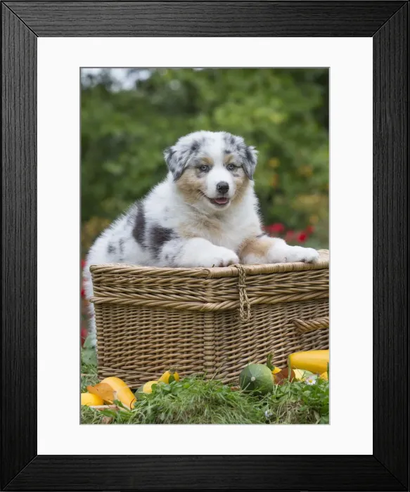Framed Print : Picture No. 12009310 Framed Print : Picture No. 12009310