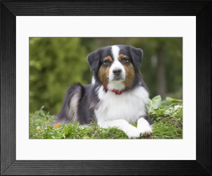 Framed Print : Picture No. 12009314 Framed Print : Picture No. 12009314