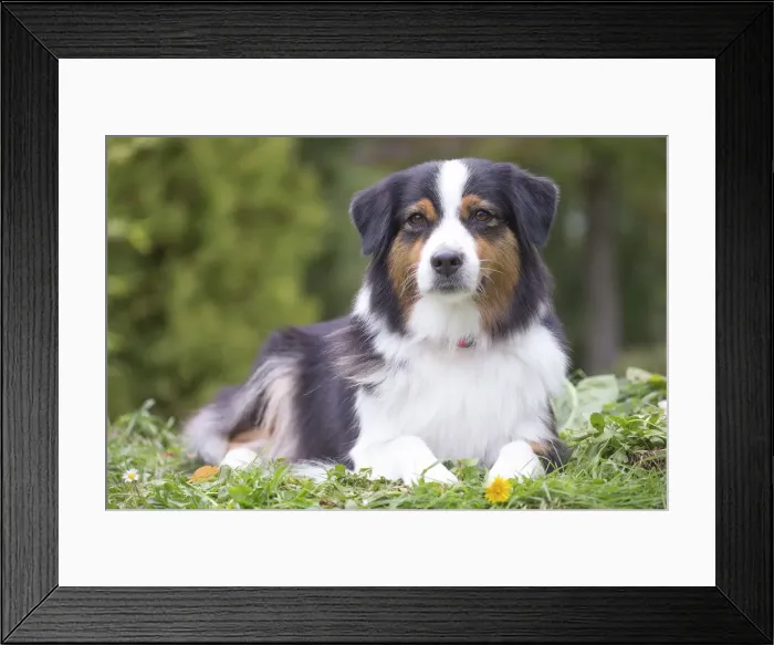 Framed Print : Picture No. 12009315 Framed Print : Picture No. 12009315