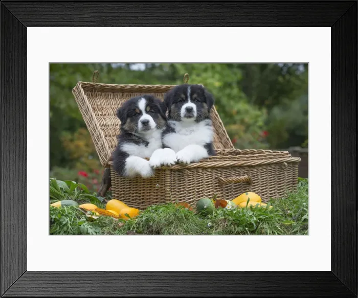 Framed Print : Picture No. 12009316 Framed Print : Picture No. 12009316