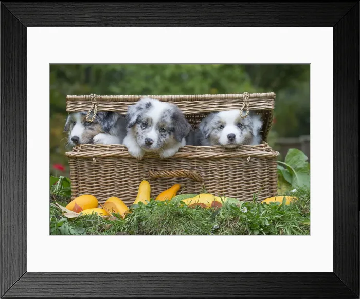 Framed Print : Picture No. 12009318 Framed Print : Picture No. 12009318