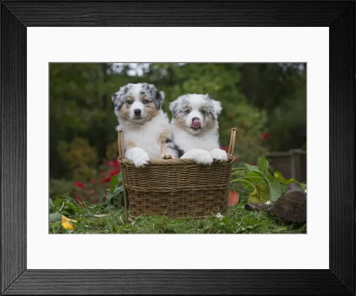 Framed Print : Picture No. 12009320 Framed Print : Picture No. 12009320