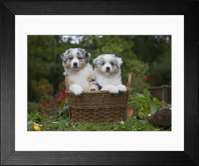 Framed Print : Picture No. 12009321 Framed Print : Picture No. 12009321