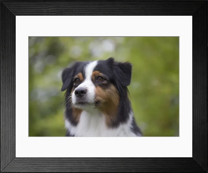 Framed Print : Picture No. 12009328 Framed Print : Picture No. 12009328