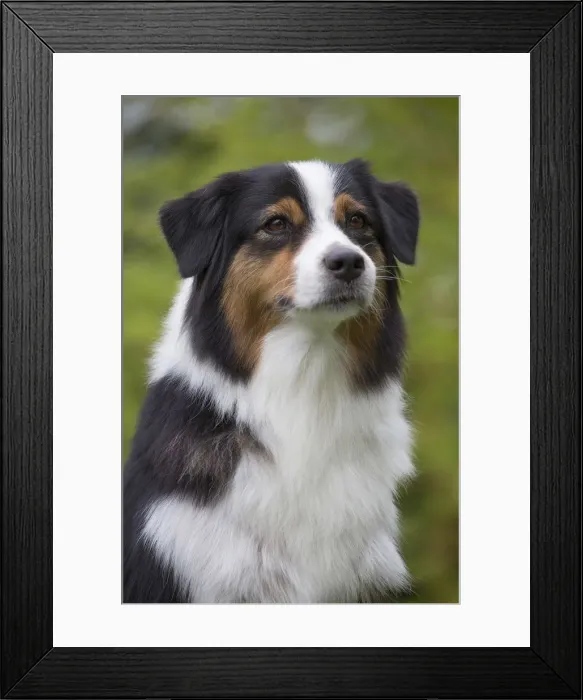 Framed Print : Picture No. 12009329 Framed Print : Picture No. 12009329
