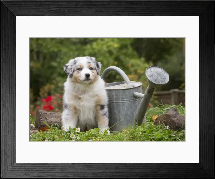 Framed Print : Picture No. 12009333 Framed Print : Picture No. 12009333