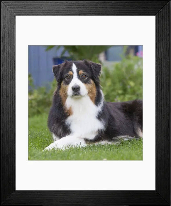 Framed Print : Picture No. 12009338 Framed Print : Picture No. 12009338