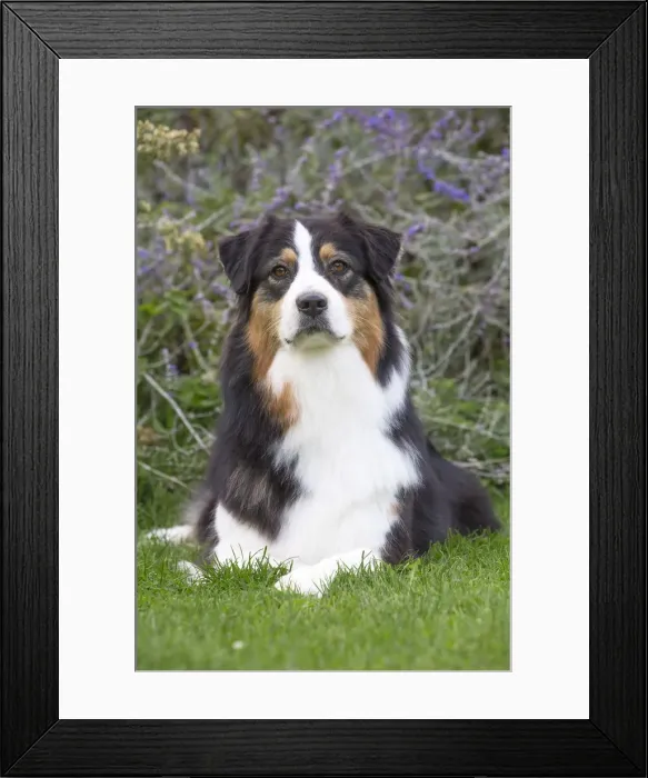 Framed Print : Picture No. 12009340 Framed Print : Picture No. 12009340