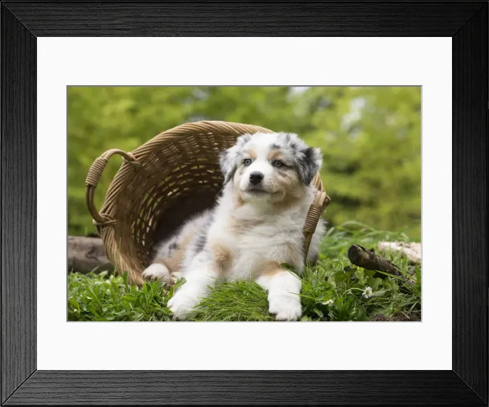 Framed Print : Picture No. 12009350 Framed Print : Picture No. 12009350