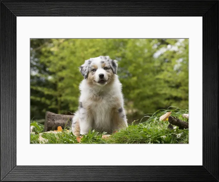 Framed Print : Picture No. 12009352 Framed Print : Picture No. 12009352