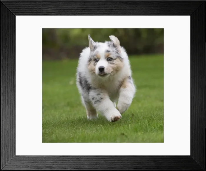 Framed Print : Picture No. 12009354 Framed Print : Picture No. 12009354