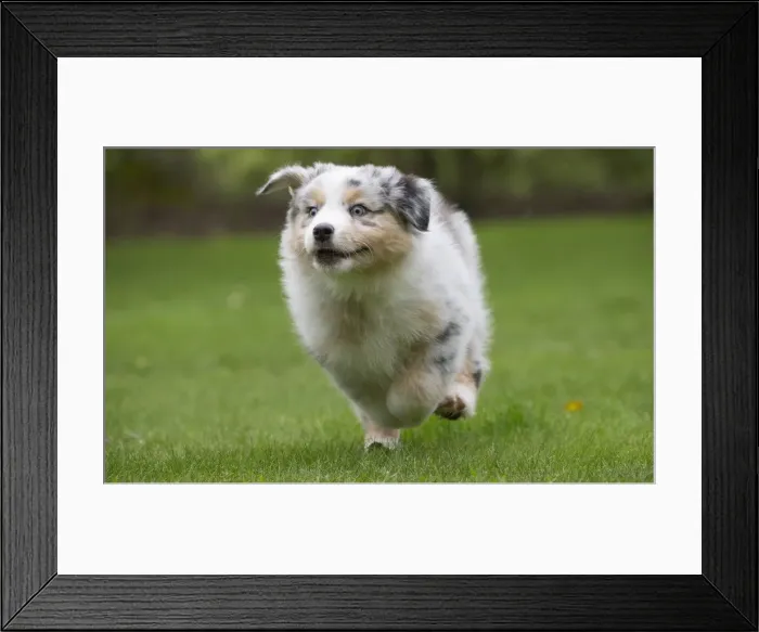 Framed Print : Picture No. 12009356 Framed Print : Picture No. 12009356