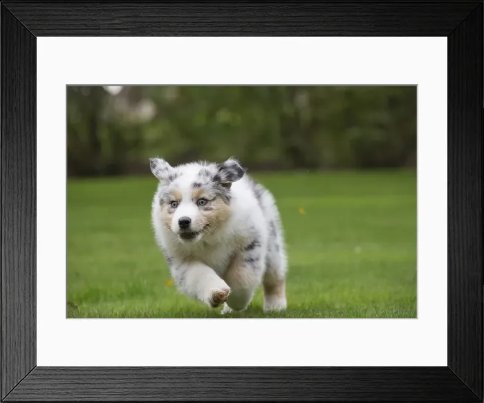 Framed Print : Picture No. 12009357 Framed Print : Picture No. 12009357