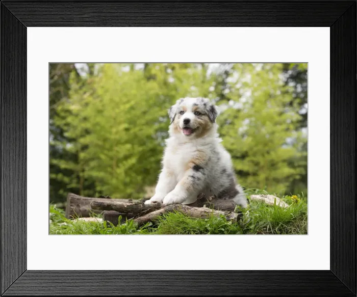 Framed Print : Picture No. 12009360 Framed Print : Picture No. 12009360