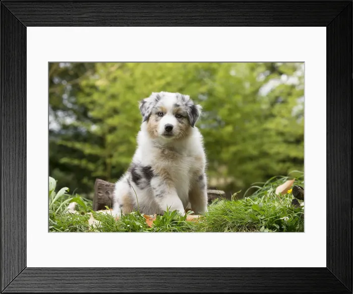 Framed Print : Picture No. 12009361 Framed Print : Picture No. 12009361