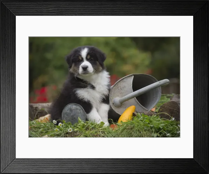 Framed Print : Picture No. 12009364 Framed Print : Picture No. 12009364
