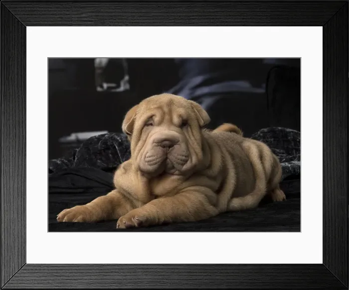 Framed Print : Picture No. 12009649 Framed Print : Picture No. 12009649