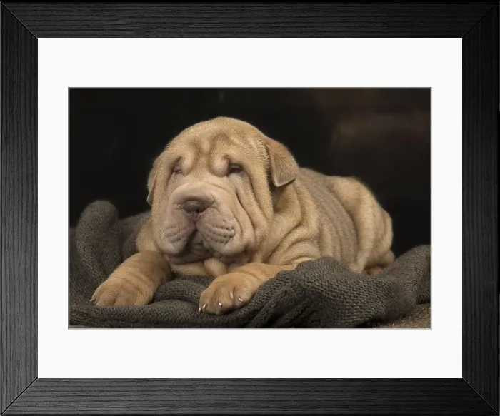 Framed Print : Picture No. 12009656 Framed Print : Picture No. 12009656