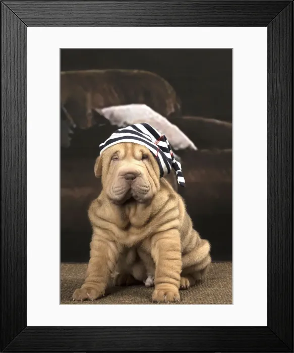 Framed Print : Picture No. 12009658 Framed Print : Picture No. 12009658