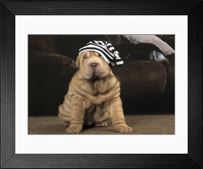 Framed Print : Picture No. 12009659 Framed Print : Picture No. 12009659