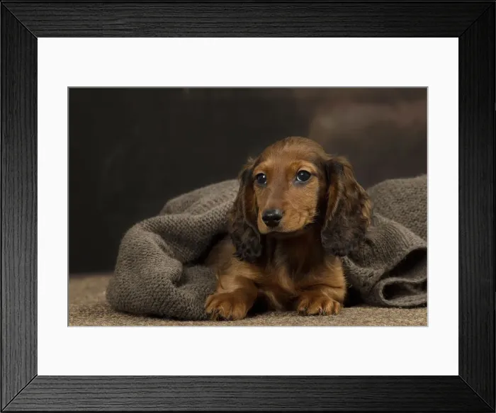 Framed Print : Picture No. 12009660 Framed Print : Picture No. 12009660