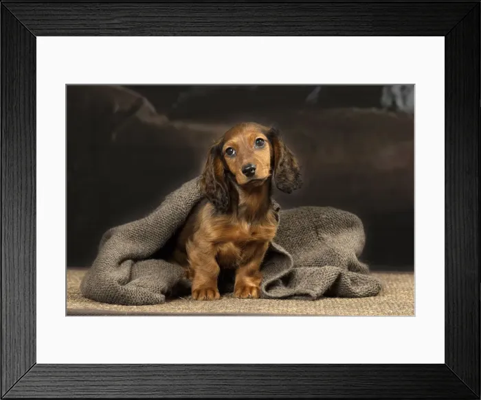 Framed Print : Picture No. 12009661 Framed Print : Picture No. 12009661