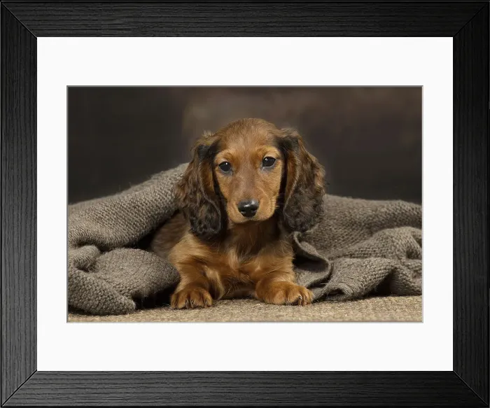 Framed Print : Picture No. 12009662 Framed Print : Picture No. 12009662