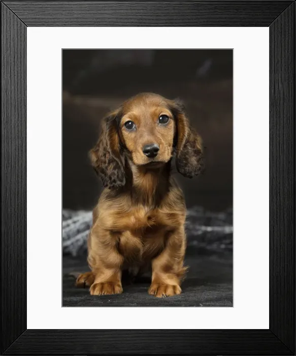 Framed Print : Picture No. 12009664 Framed Print : Picture No. 12009664