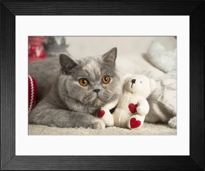 Framed Print : Picture No. 12009729 Framed Print : Picture No. 12009729